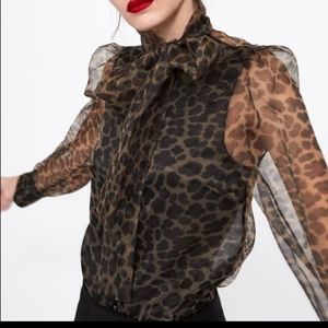 Zara Organza Blouse